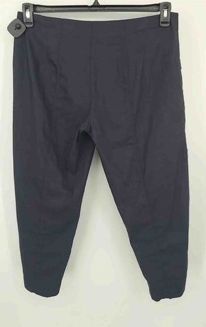 EILEEN FISHER Navy Linen Size 12  (L) Pants