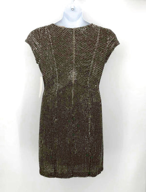 BOSTON PROPER Silver Pewter Beaded Short Sleeves Size 10  (M) Dress