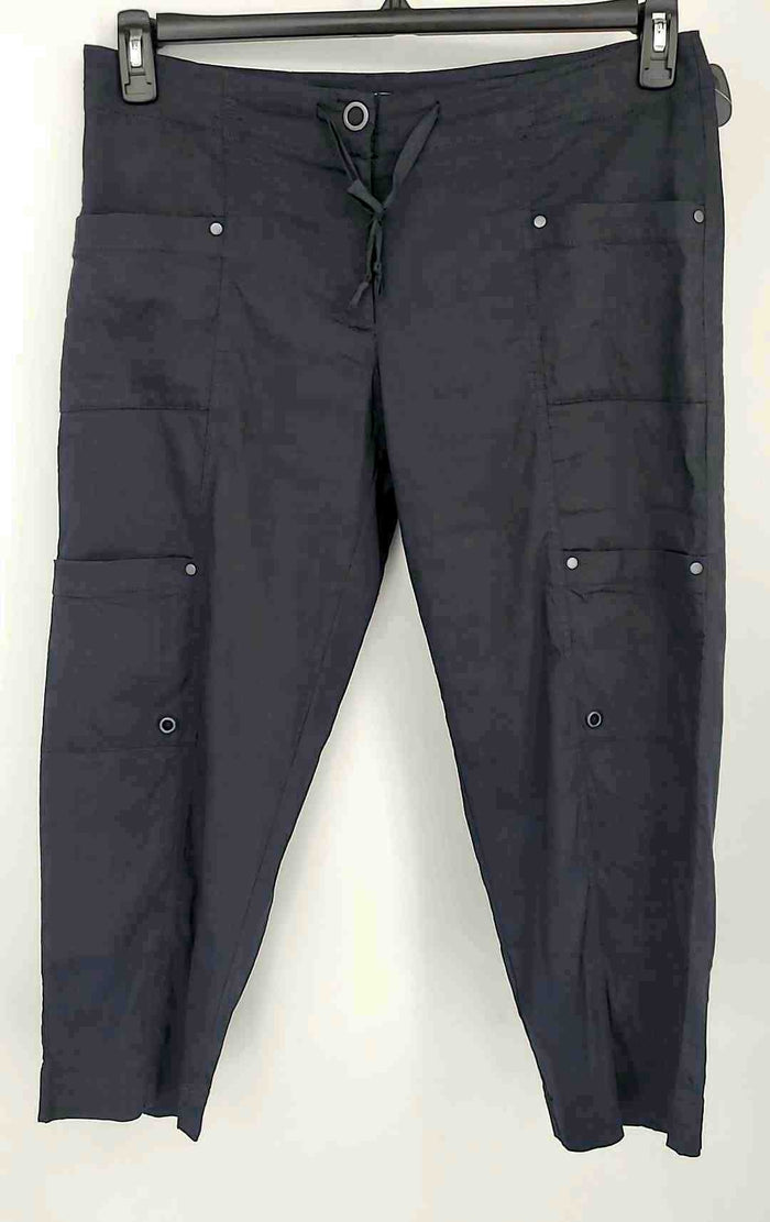 EILEEN FISHER Navy Linen Size 12  (L) Pants