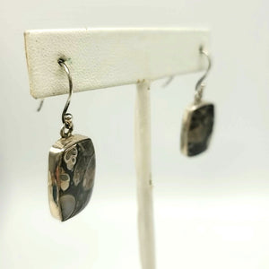 Gray ss Earrings